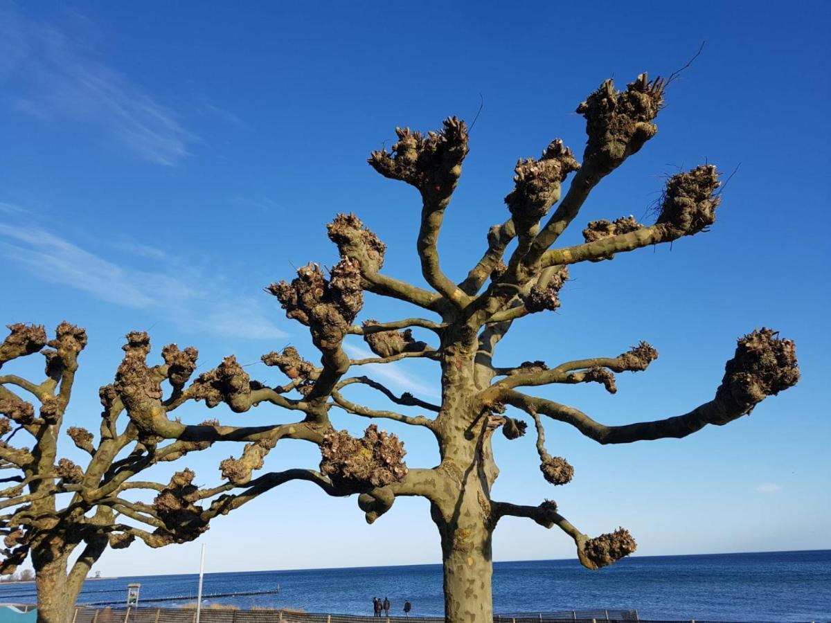 Ferienwohnung "Luv" Grube Ostsee Extérieur photo